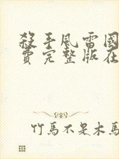 杀手风雷国语免费完整版在线观看封面