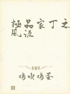 极品家丁之萧氏风流