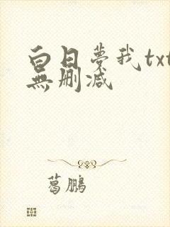 白日梦我txt无删减