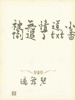 被无情道小师弟倒追了txt番外