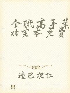 全职高手叶修txt完本免费下载