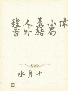 程人勇小伟妈妈番外结局