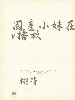 国产小妹在线av播放