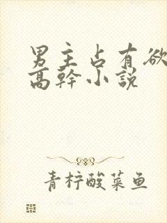 男主占有欲强的高干小说