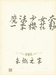 魔法少女奈叶第一季樱花动漫