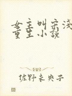 女主叫宋浅浅的重生小说