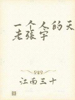 一个人的天荒地老张宇