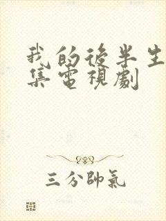 我的后半生42集电视剧