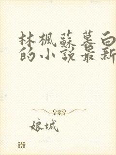 林枫苏慕白穿越的小说最新章节