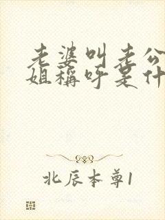 老婆叫老公的姐姐称呼是什么封面