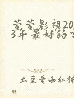 萱萱影视2023年最好的电视剧