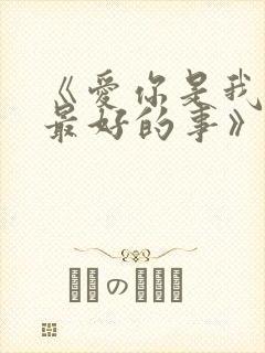 《爱你是我做过最好的事》小说