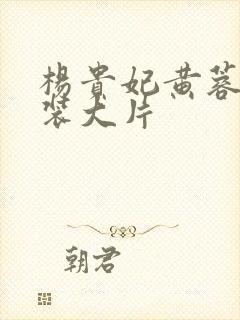 杨贵妃黄蓉版古装大片