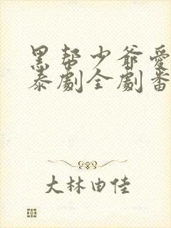 黑帮少爷爱上我泰剧全剧番外封面