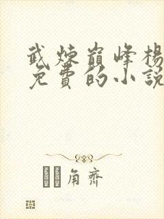 武炼巅峰杨开全免费的小说封面