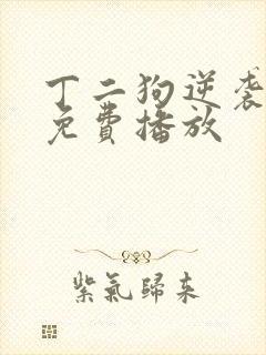 丁二狗逆袭人生免费播放