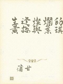 生逢灿烂的日子黄总与叶琪