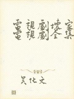 电视剧坏家伙们电视剧全集在线观看免费