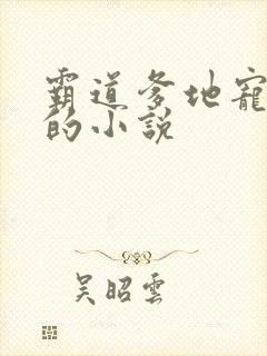 霸道爹地宠又撩的小说