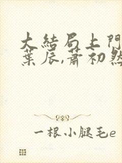 大结局上门龙婿叶辰,萧初然章节