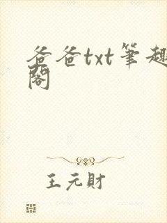 爸爸txt笔趣阁