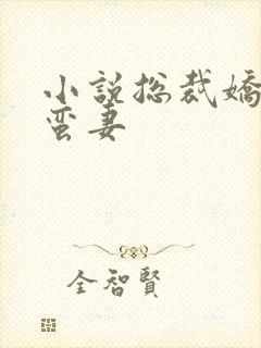 小说总裁娇宠小蛮妻