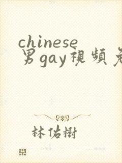 chinese男gay视频免费观看