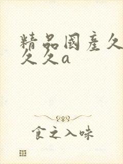 精品国产久久久久久a