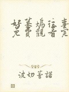 好莱坞往事在线免费观看完整版国语