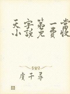 天字第一当有声小说免费收听