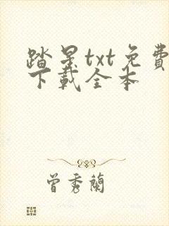 踏星txt免费下载全本封面