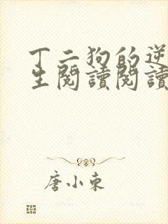 丁二狗的逆袭人生阅读阅读全文封面