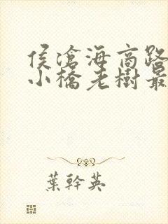 侯沧海商路笔记小桥老树最新完整版