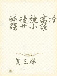 醉后被高冷哥哥强艹小说