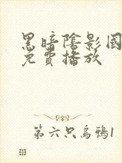 黑暗阴影国语版免费播放