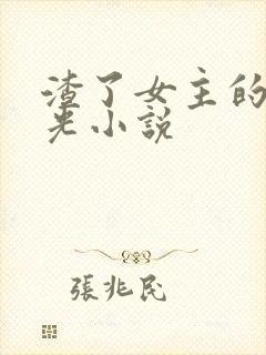 渣了女主的白月光小说
