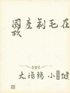 国产剃毛在线播放