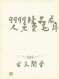 9999精品成人免费毛片在线看