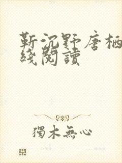 靳沉野唐栖雾在线阅读封面