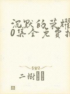 沉默的荣耀全40集全免费播放