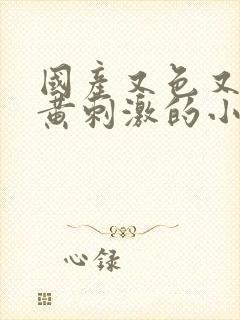 国产又色又爽又黄刺激的小说封面