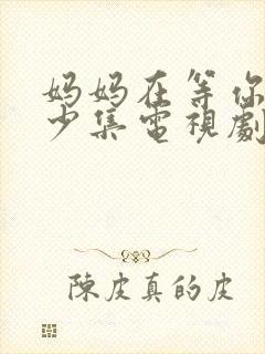 妈妈在等你有多少集电视剧封面