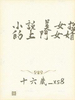 小说 美女总裁的上门女婿封面