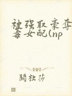 被强取豪夺的恶毒女配(np