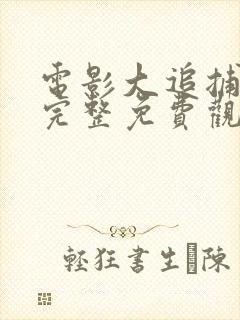 电影大追捕在线完整免费观看国语