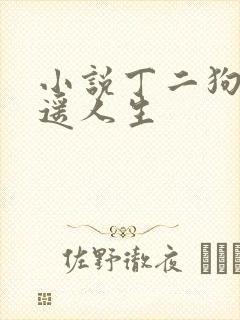 小说丁二狗的逍遥人生封面