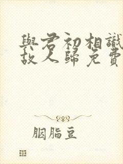 与君初相识恰似故人归免费封面