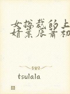 女总裁的上门女婿叶辰萧初然