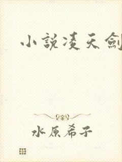 小说凌天剑仙封面