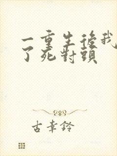 一重生后我嫁给了死对头